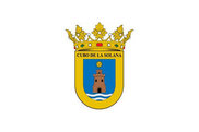 Bandera de Cubo de la Solana