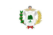 Bandera de Vendrell, El