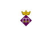 Bandera de Vinyols i els Arcs