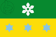Bandera de Puig Gros