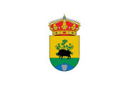 Bandera de Nava de Ricomalillo, La