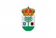 Bandera de Pepino