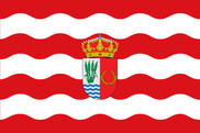 Bandera de Yuncler
