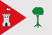 Bandera de Pinet