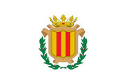 Bandera de Puebla de San Miguel