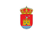 Bandera de Castronuño