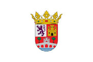 Bandera de Tudela de Duero