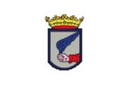 Bandera de Villalón de Campos
