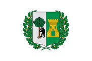 Bandera de Leioa