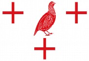 Bandera de Perdigón, El