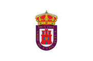 Bandera de Ibdes