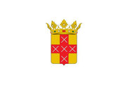 Bandera de Tosos