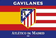 Bandera de Atleti Gavilanes