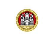 Bandera de Bergen