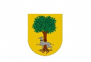 Bandera de Barrillas