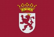 Bandera de Región de León