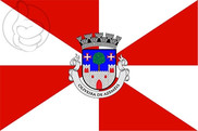 Bandera de Oliveira de Azeméis