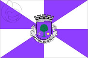 Bandera de Oliveira do Bairro