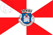 Bandera de Santa Maria da Feira