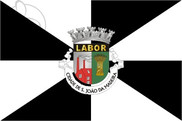 Bandera de São João da Madeira