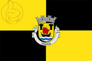 Bandera de Vagos