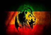 Bandera de Rastafari personalizada león