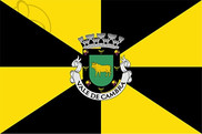 Bandera de Vale de Cambra