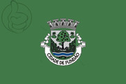 Bandera de Fundão