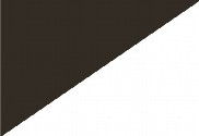 Bandera de Dividida