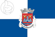 Bandera de Montalegre
