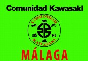 Bandera de Comunidad Kawasaki Málaga Verde