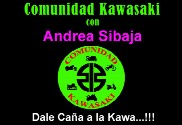 Bandera de Comunidad Kawasaki Personalizada Nombre
