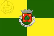 Bandera de Lourinhã