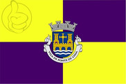Bandera de Ponte de Lima