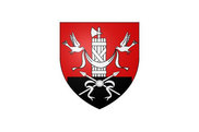 Bandera de Villejuif