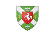 Bandera de Sandarville