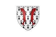 Bandera de Cluis