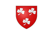 Bandera de Buzançais
