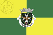 Bandera de Gavião