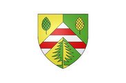 Bandera de Saint-Firmin-des-Prés