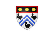 Bandera de Danzé