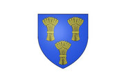 Bandera de Chaumes-en-Brie