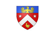 Bandera de Binas