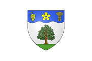 Bandera de Vallières-les-Grandes