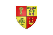 Bandera de Ingré
