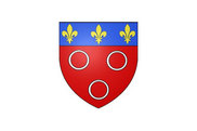 Bandera de Jargeau