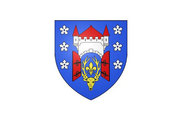 Bandera de La Ferté-Saint-Aubin