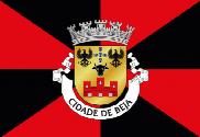 Bandera de Beja