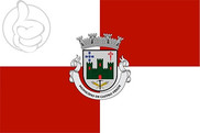 Bandera de Castro Verde