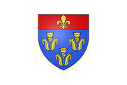 Bandera de Pithiviers